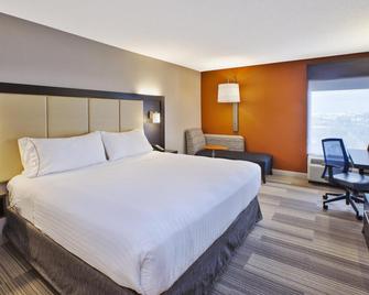 Holiday Inn Express & Suites Chicago-Midway Airport By IHG - Bedford Park - Slaapkamer