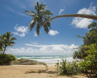 Rockside Beach Resort - Induruwa - Beach