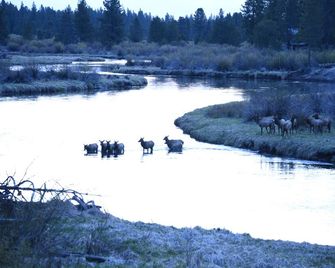 Log home On the Deschutes River Bend, OR - Bend - Property amenity
