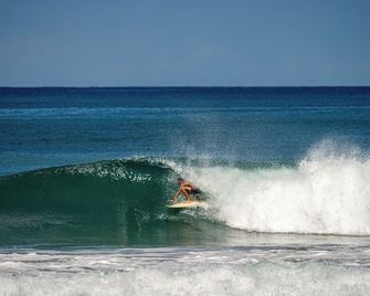 Surf Paradise - Carmen