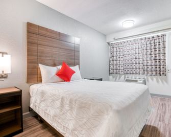 Dallas Love Field Inn - Dallas - Habitación