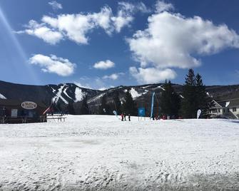 Quechee at its Finest! - Hartford - Property amenity