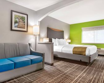 Quality Inn & Suites Birmingham - Highway 280 - Birmingham - Bedroom