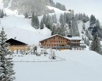 Alpinhotel Bort - Grindelwald - Bâtiment