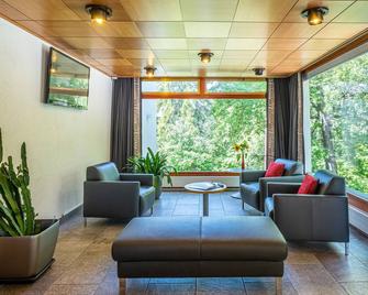 Hôtel Splendide - Crans-Montana - Lounge