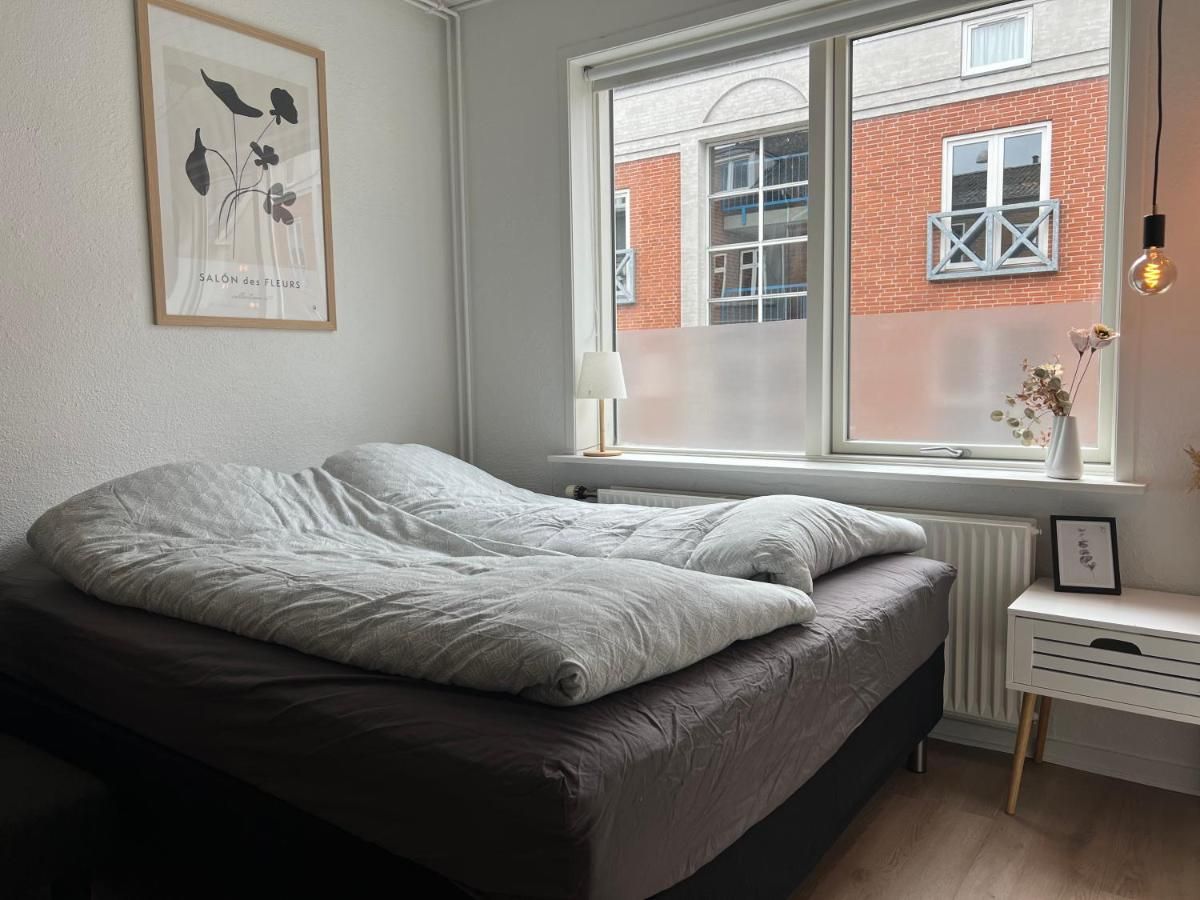 Cozy Flats Silkeborg - S1 – Silkeborg