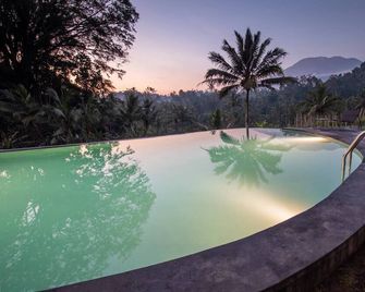 Velonia Iseh - Sidemen - Pool