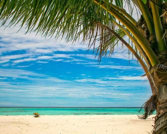 Masfalhi View Inn - Felidhoo - Playa