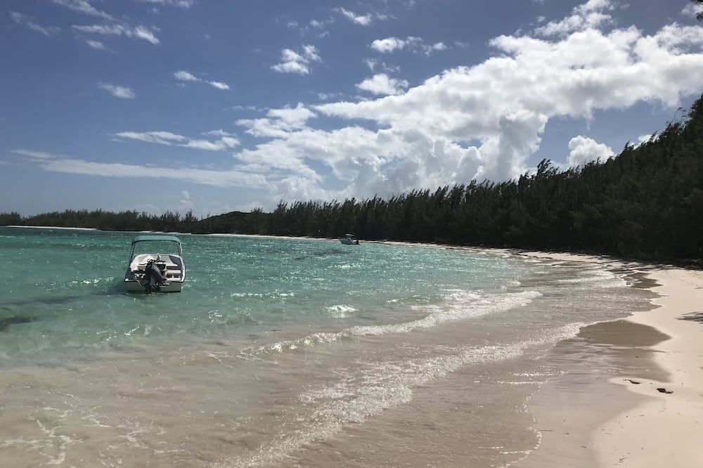 Tiny House Vacation, Bayfront With Private Beach Area! On Two Secluded Acres! - Dunmore Town - חוף