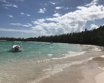 Tiny House Vacation, Bayfront With Private Beach Area! On Two Secluded Acres! - Dunmore Town - חוף