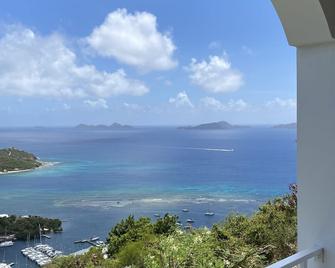 Top of the Hill Blue Sunshine - Buck Island - Balcon