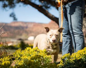 Quail Park Lodge - Kanab