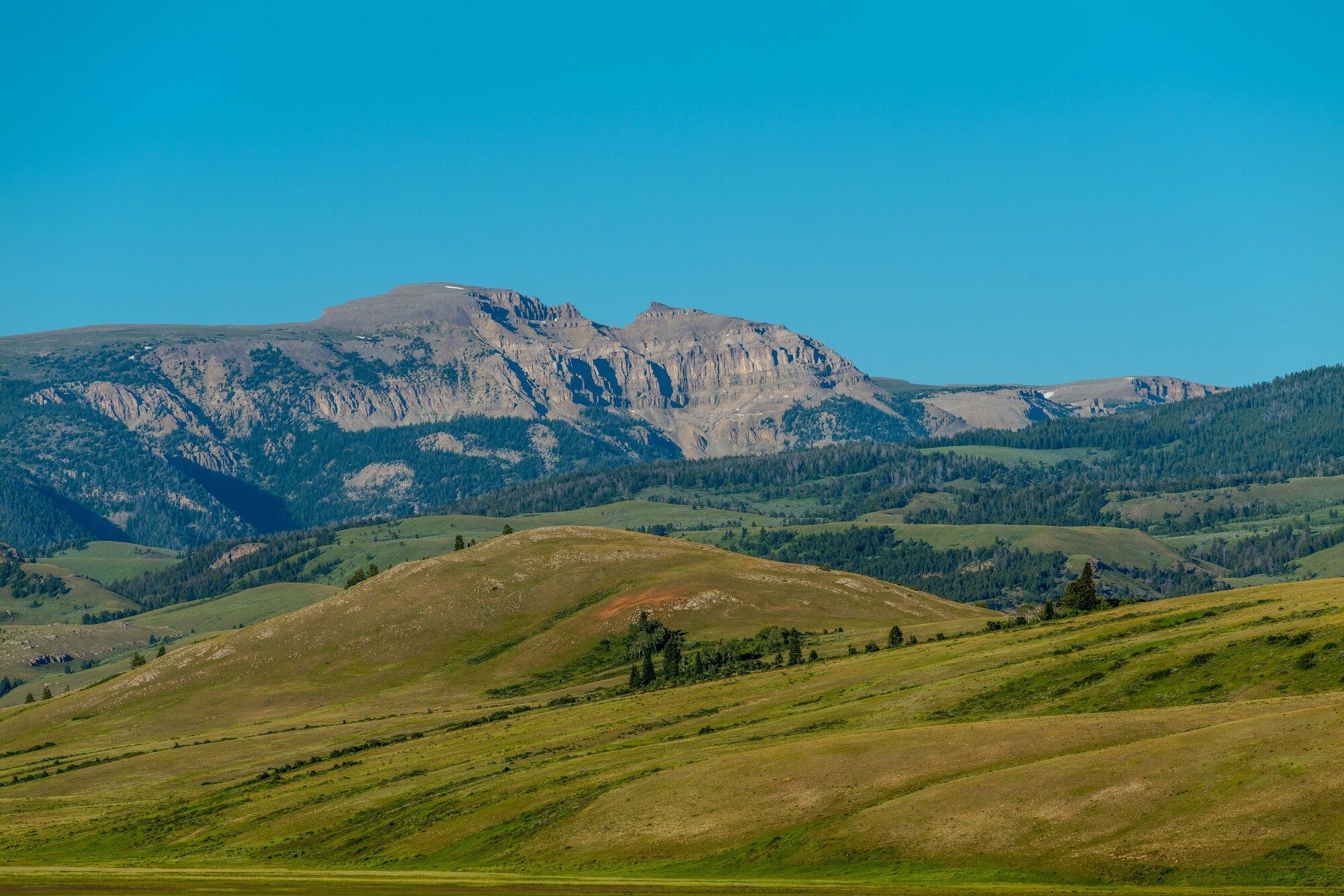 Elk Refuge Inn - Jackson - Olohuone