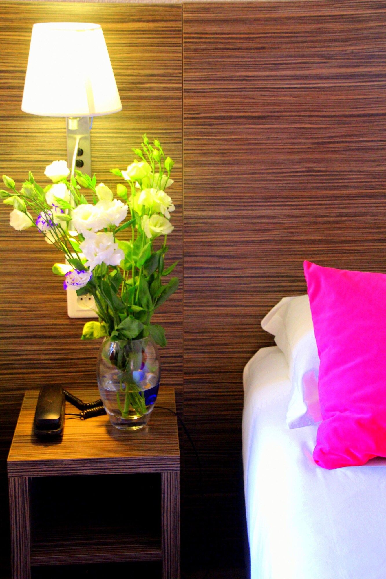 Hotel Menton Riviera - Menton - Rumsfaciliteter