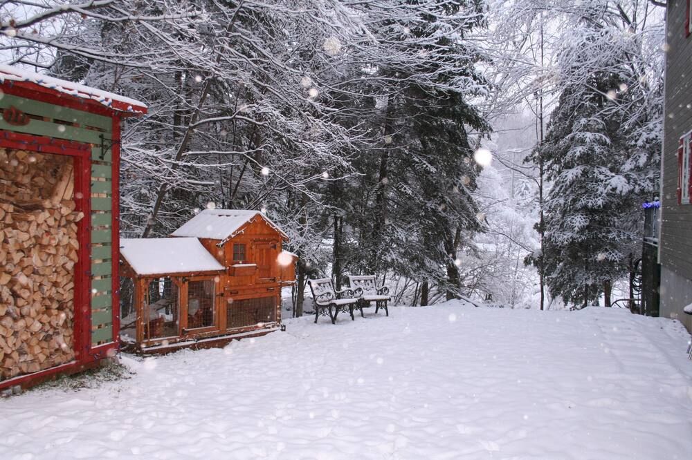 لا شاومير دو لانس - مونت ترمبلانت - مبنى