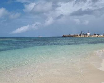 Harrys Cottages Cottage 5 right on the pink sand - Codrington - Playa