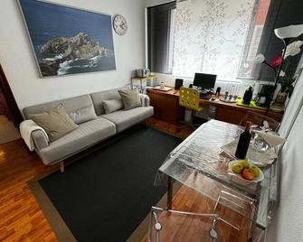 Bilbao Deusto, 3 Bedr. 4p. Free garage, wifi, tele work. - Bilbao - Living room