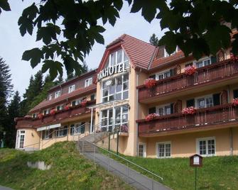 Parkhotel Bad Brambach - Bad Brambach - Building