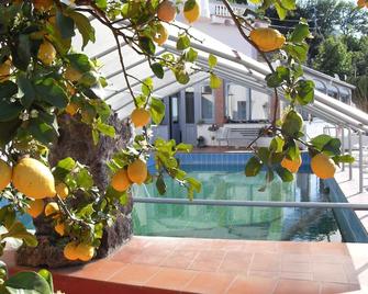 Hotel Residence - Parco Mare Monte - Ischia - Pool