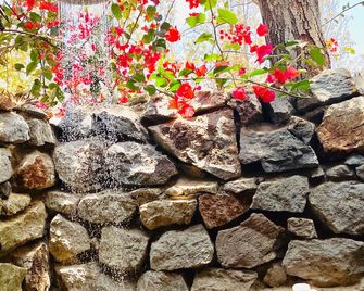 Njia Panda Tented Lodge And Campsite - Karatu - Outdoors view