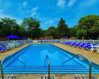 Put-In-Bay Island Club #98 - Put-in-Bay - Piscina