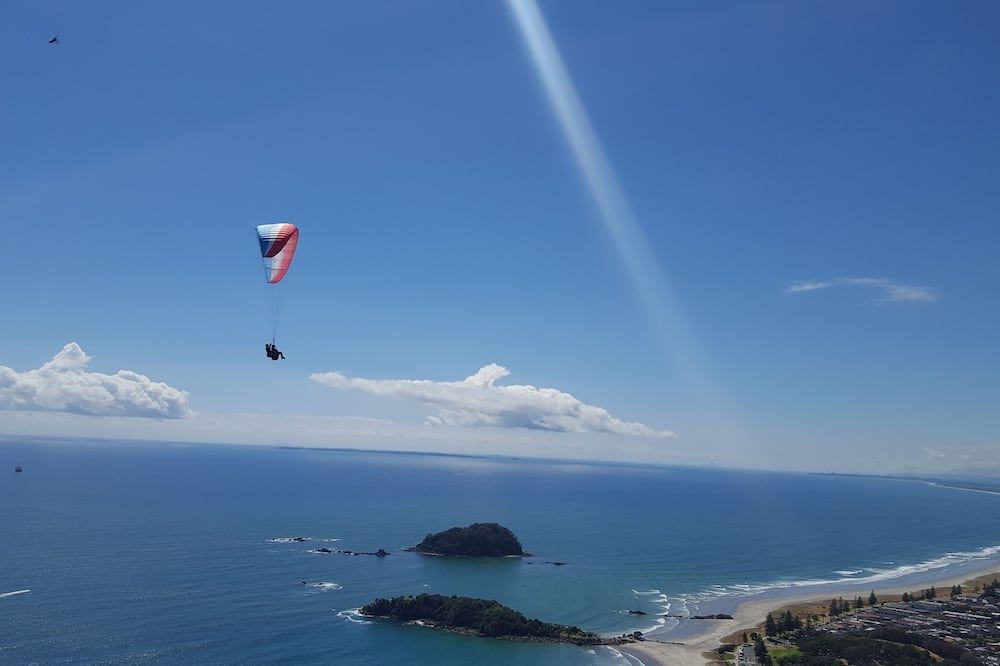 Harbour View Motel and Waterfront Apartments - Tauranga