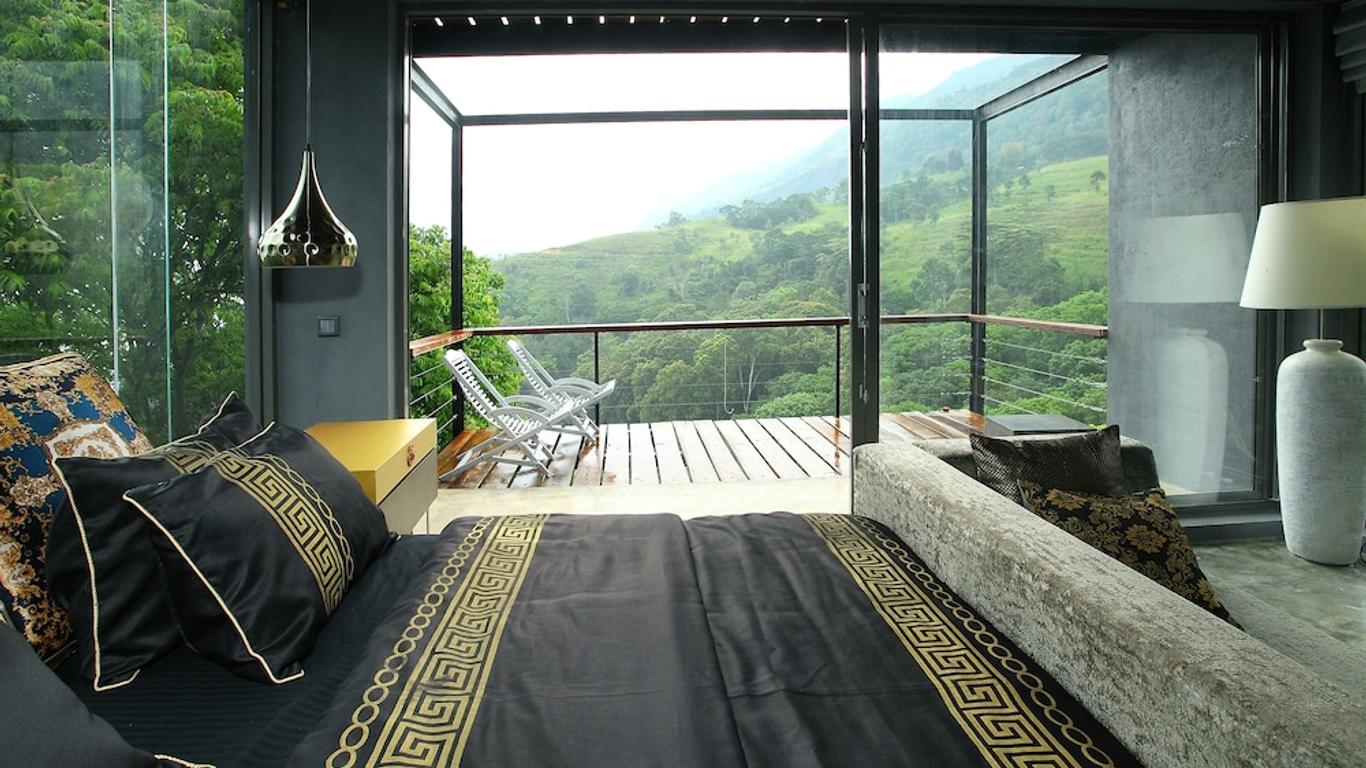 رومانس فالي