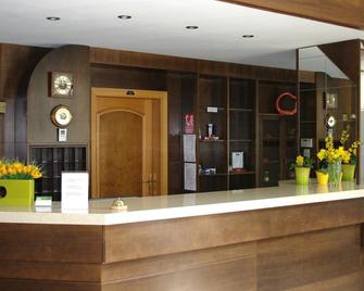 Hotel Sirak - Most - Receptie