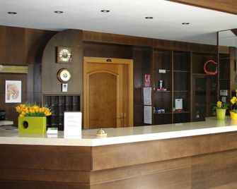 Hotel Sirak - Most - Front desk