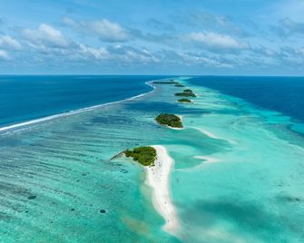 Stay Mikado - Thimarafushi
