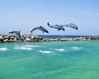Vacation Home In Ocho Rios - Bamboo - Playa