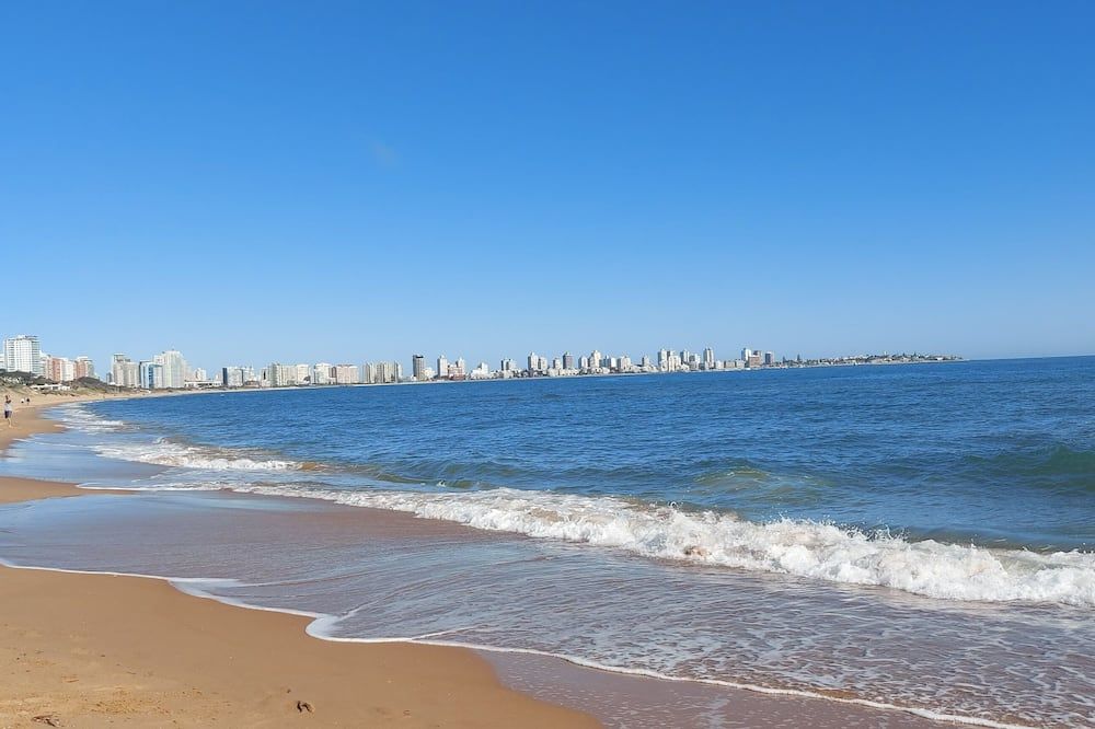 Alexander beach 1102 - Punta del Este - Playa