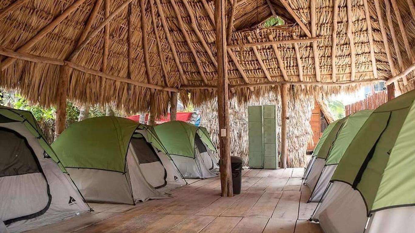 Mapache Hostel & Camping