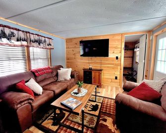Cozy Adirondack Retreat sleeps 5, 3 miles to Gore skiing, hiking, rafting - North Creek - Living room