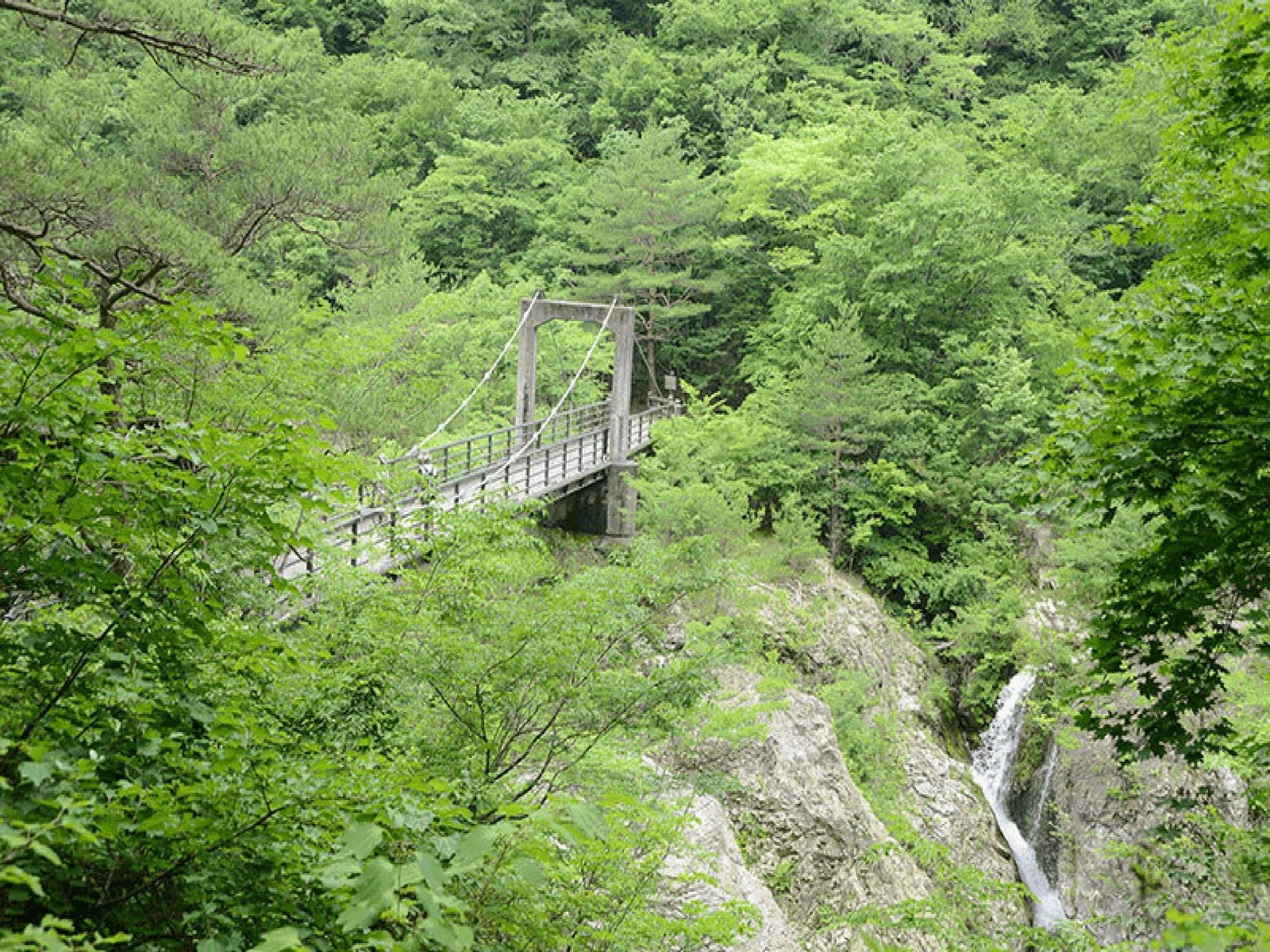 هوتل نيو كويو