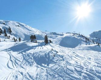 Apartment Huber-2 by Interhome - Zell am Ziller - Caratteristiche struttura