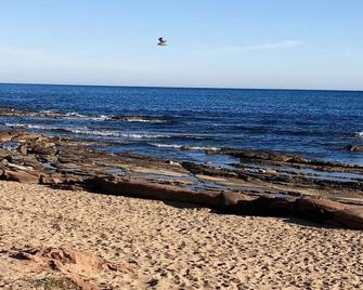 Charming Bastidon T2 in the heart of an ancient palm grove, 100 m from the beach - Bagnols-en-Forêt - Beach