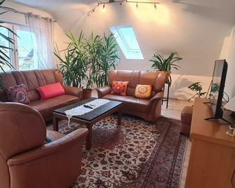Gemuetliche 120 Qm Ferienwohnung Mit Bal - Adelsdorf - Вітальня