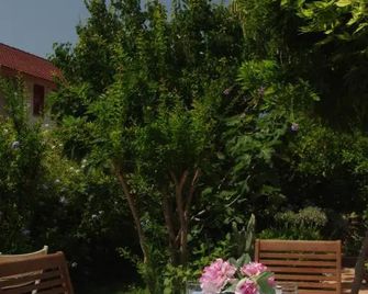 La Locandina - Cerveteri - Binnenhof