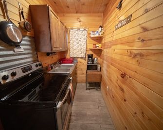 Cozy Cabin near the Pisgah National Forest and DuPont State Forest in Brevard. - Pisgah Forest - Kitchen