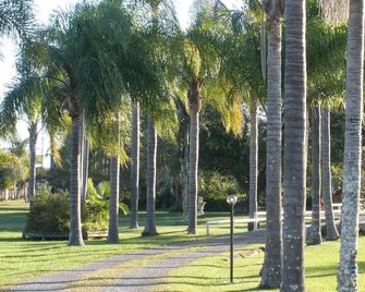 Palms Oasis Motel - Taree - Utsikt