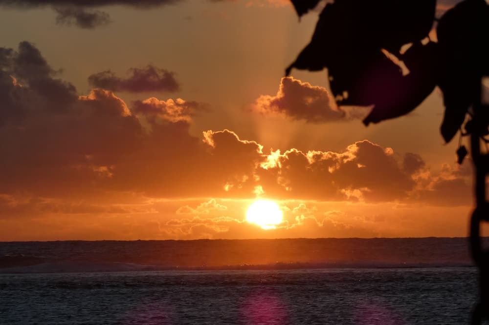 Aroa Kainga Bungalows and Apartment - Rarotonga