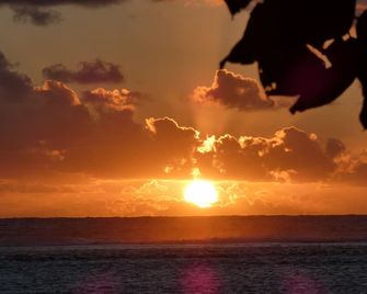Aroa Kainga Bungalows and Apartment - Rarotonga