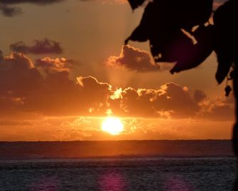 Aroa Kainga Bungalows and Apartment - Rarotonga