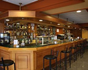 Hotel Alameda - Alba de Tormes - Bar