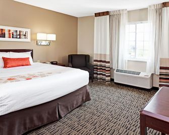 MainStay Suites Chicago Schaumburg - Schaumburg - Habitación