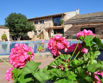 Finca Cas Contador Mallorca - Альгайда - Басейн