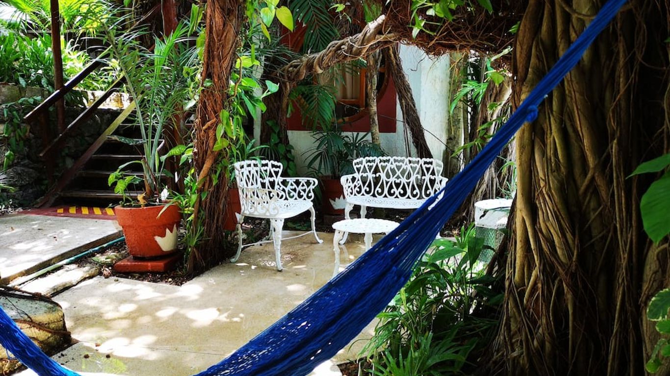 Eco-Hotel El Rey Del Caribe