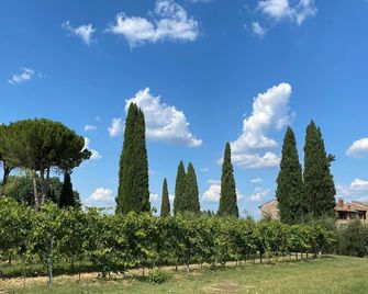 Tenuta Sovestro - Agriturismo e winery - San Gimignano - Outdoor view