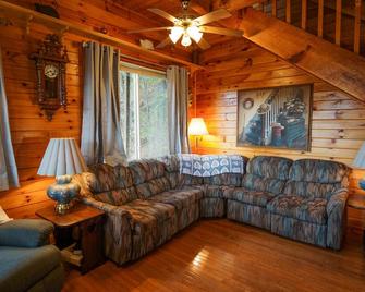 Cliffhanging Cabin over French Broad River between Hot Springs, NC and Gatlinburg Tn - Newport - Obývací pokoj